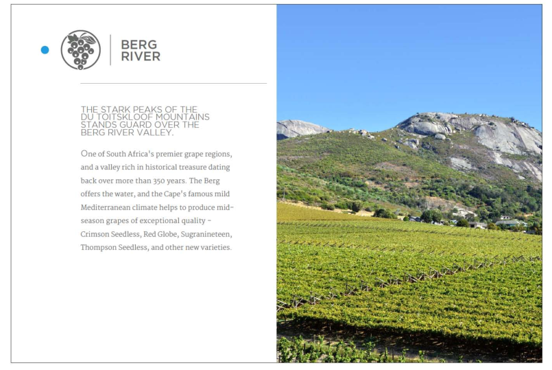 South Africa’s Table Grape Industry Produce Report